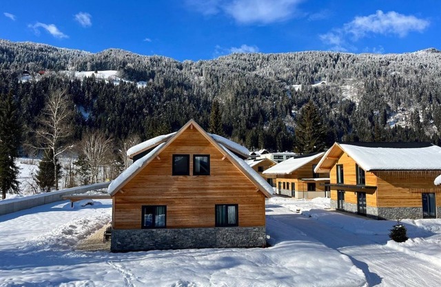 Chalet Grande 8 - Dual Park Afritz am See