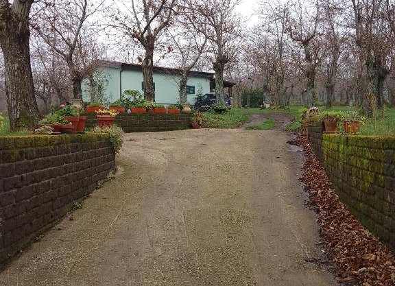 Chalet immerso nel Bosco