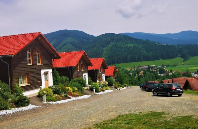 Chalet in Gaal by Ski Slopes & Bathing Pond