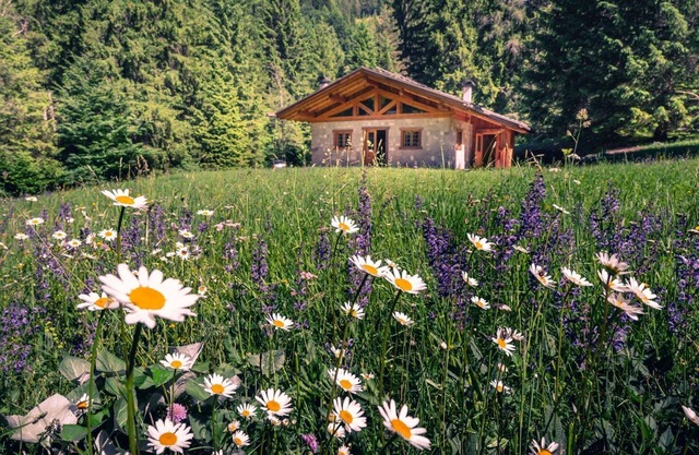 Chalet inside the Nature for 4 People