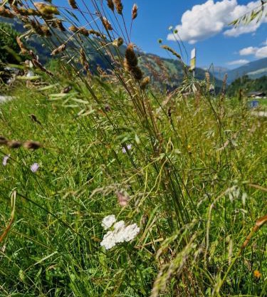 Chalet Johanna