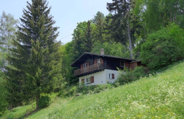 Chalet Ninette by Interhome