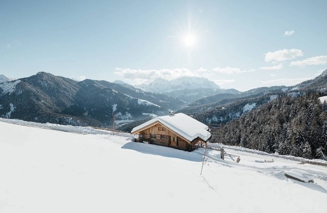 Chalet Rich App. Milandura, with mountain view, balcony, private garden