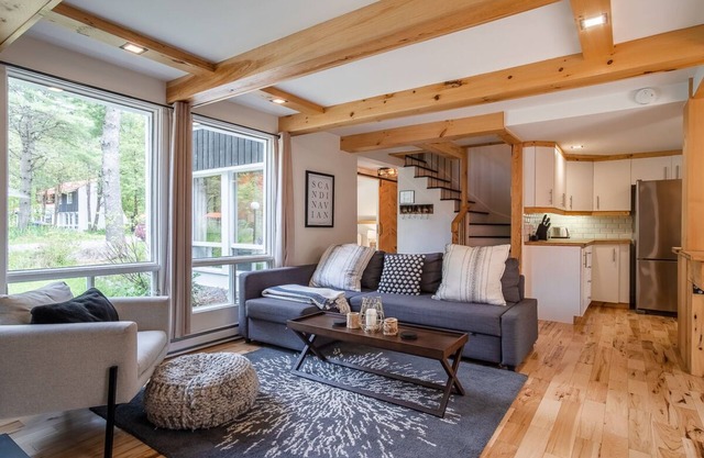 Chalet Scandinavian, Turn Key Amenities + Pet Friendly + Dedicated Workspace with Hi Speed WiF