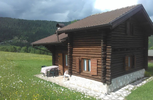 Chalet surrounded by greenery near MTB routes
