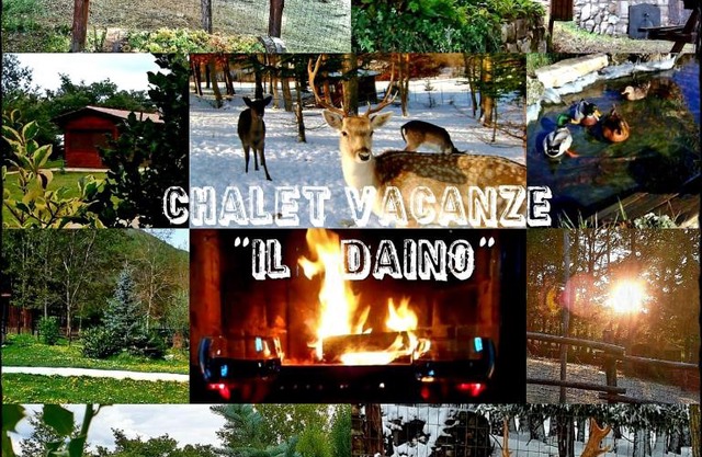 Chalet Vacanze Il Daino
