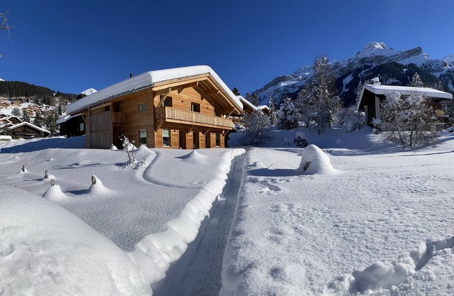 Chalet Vicky and Nino nice new apartment