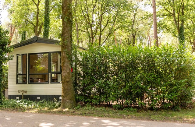 Chalet, with 2 steps in the woods | Veluwe | Kids.