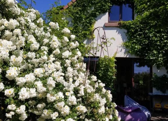 chambre d'hôtes de charme, un temps en forêt
