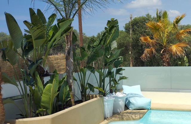 chania olive home