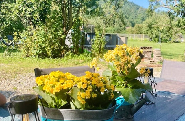 Charm and comfort in Isère