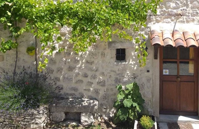 Character house with garden
