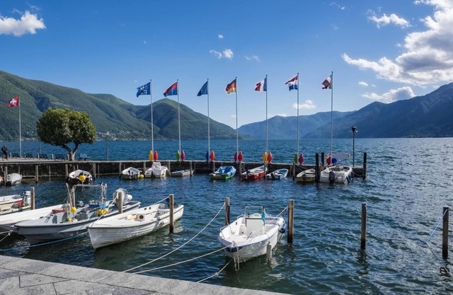 Charm Apartment in Ascona