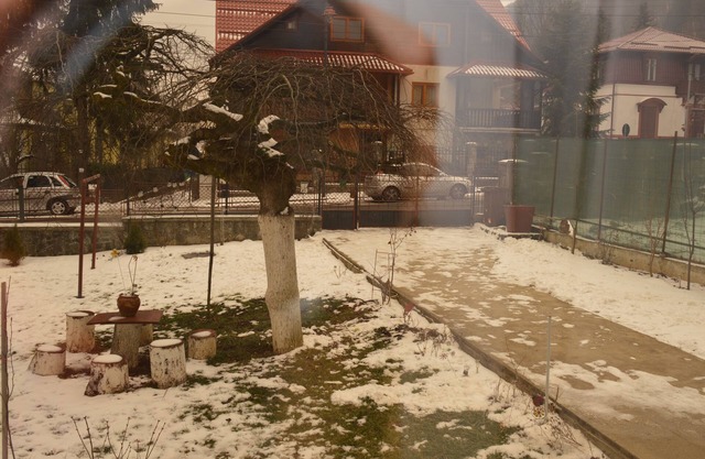 Charm Junior Suite-Cozy garden studio in welcoming Sinaia with WiFi