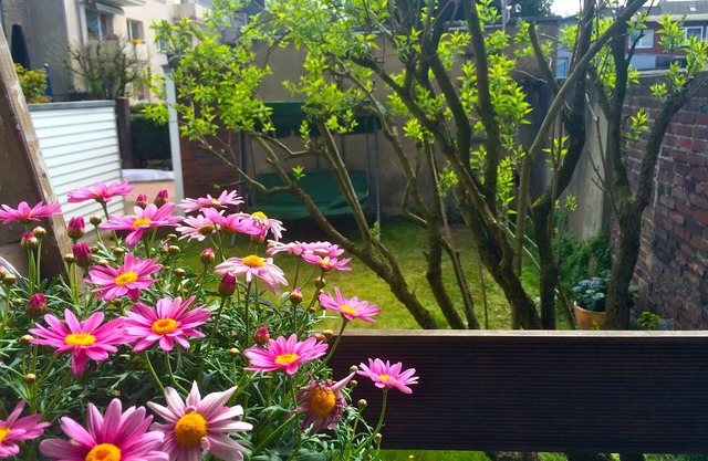 Charmant is centrally located, close to uni
