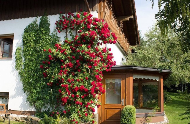 Charmante UG-Wohnung mit Loggia und WLAN im Herzen des Bayerischen Waldes