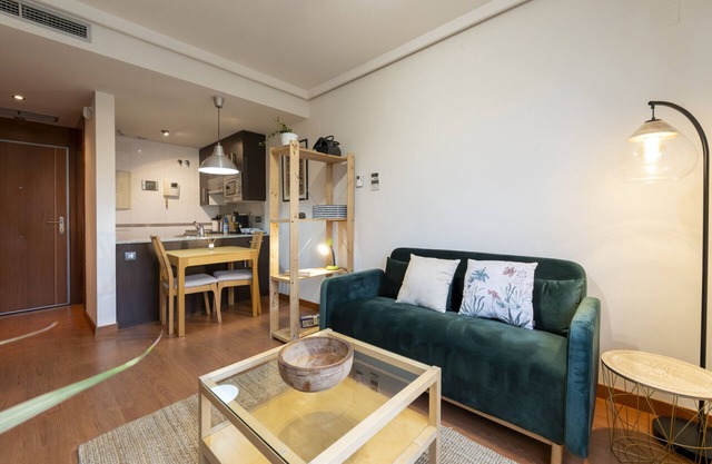 Charming 1 bedroom flat Gym Gated urbanisation Madrid