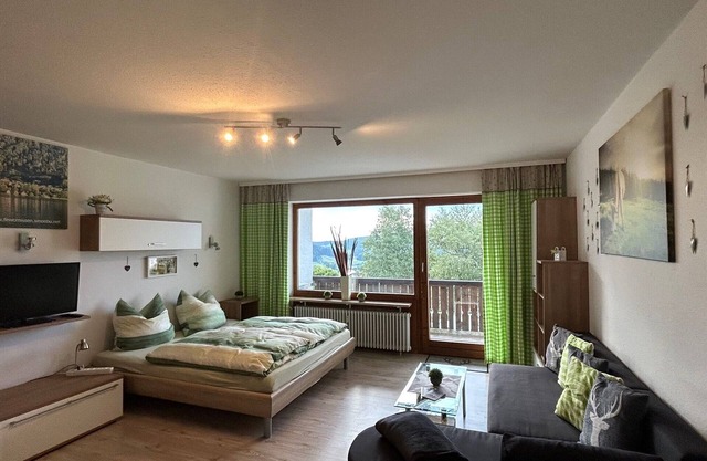 Charming 1-room apartment
