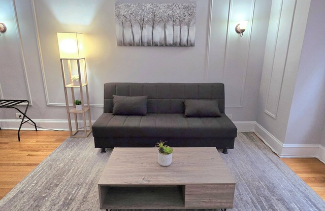 Charming 2-bedroom condo with AC and WiFi in lakefront downtown Chicago