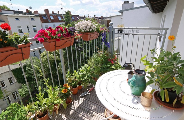 Charming 2-room city apartment in Lübeck, W-lan