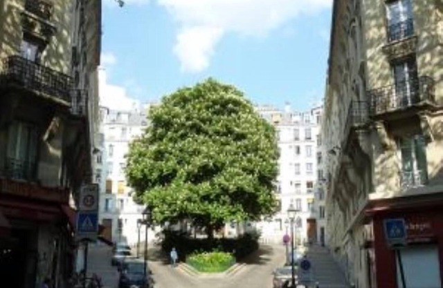 Charming 36 m2 2-room apartment near Buttes Chaumont park