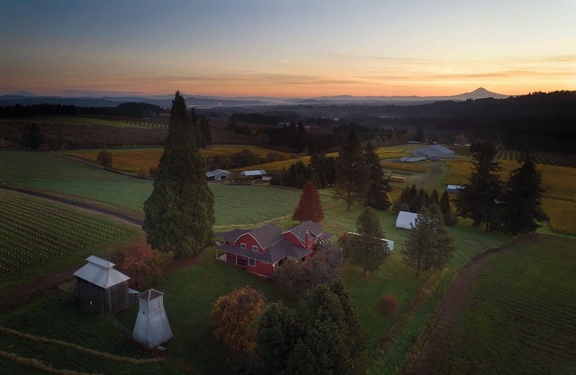 Charming 5-bedroom farmhouse surrounded by vines in Sherwood.