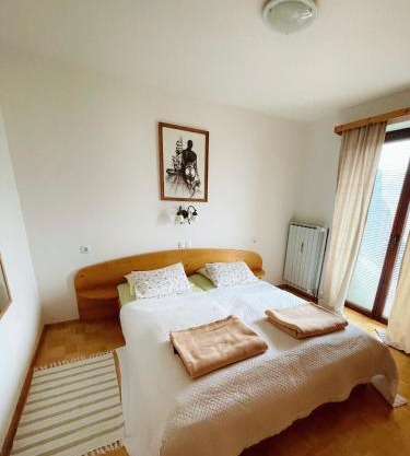Charming and Cozy Apartment Sara