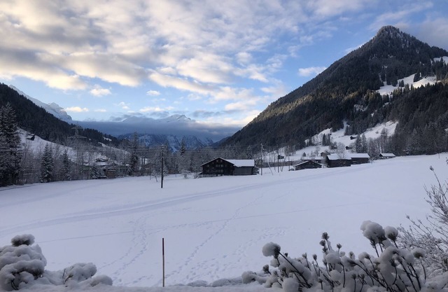Charming and cozy chalet in walking distance from the Promenade in Gstaad