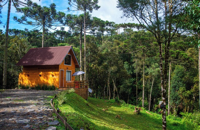 Charming and Private Chalet: Nature and Comfort!