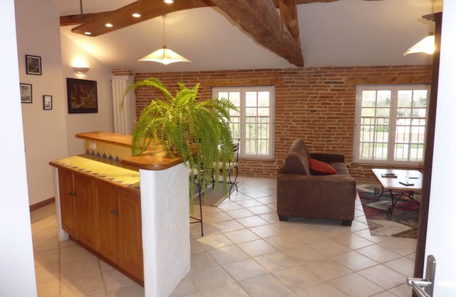 Charming apartment historic center overlooking the Tarn