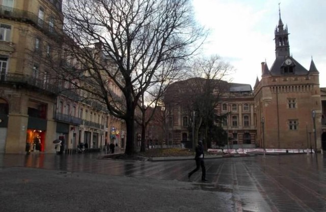 Charming apartment, very quiet, a stone's throw from the Capitole