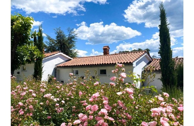 Charming Bungalow 6