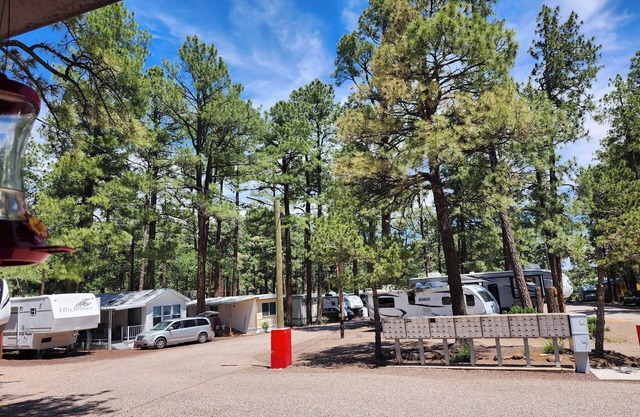 Charming cabin with WiFi and AC in delightful Show Low