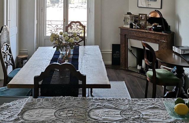 Charming, central 1 BR vegetarian apartment in Geneva