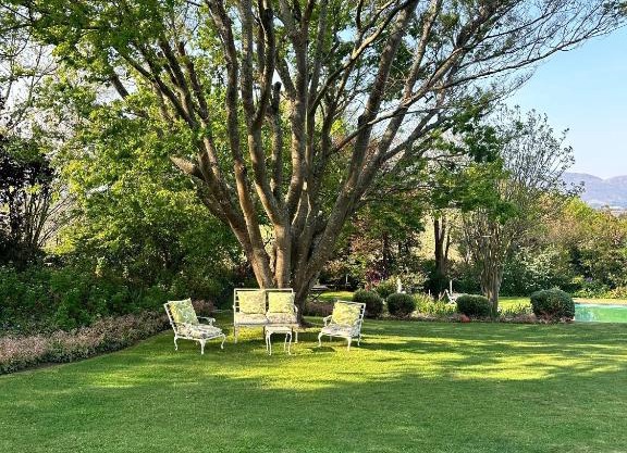 Charming Cottage in Elgin, Grabouw