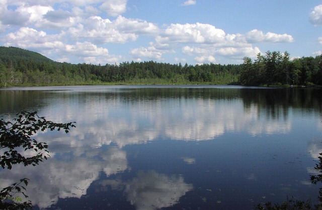 Charming Cottage - Private Community With Lake