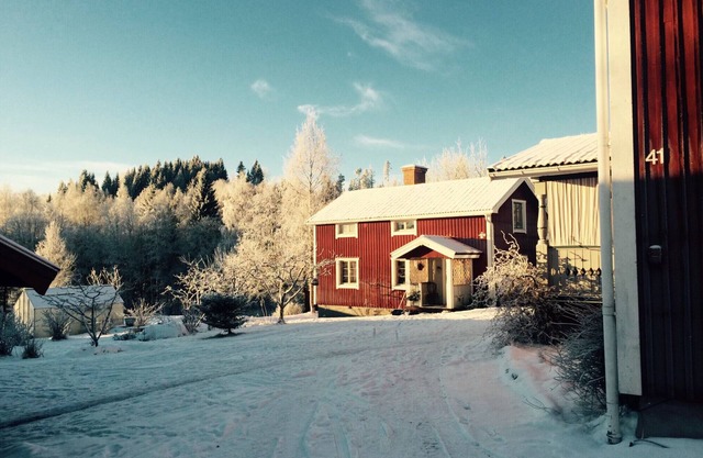 Charming Dala cottage in Bjursås | SE19029
