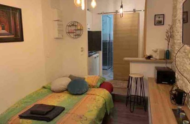 Charming downtown studio apartment