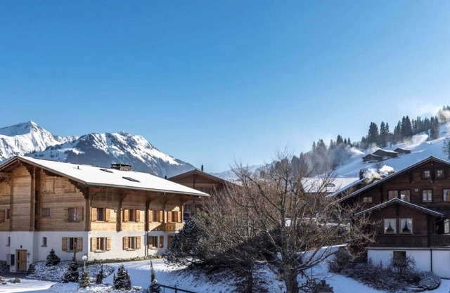Charming duplex next to ski slopes