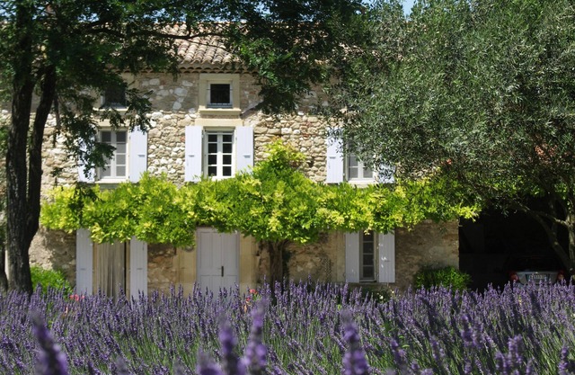 Charming authentic provencal farmhouse
