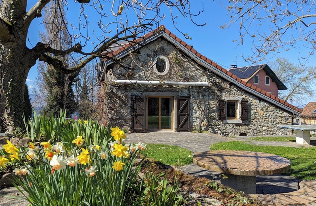 Charming house on the shores of Lake Geneva