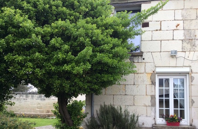 Charming house in a winegrowers' village