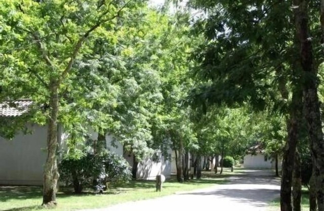 Charming house in wooded grounds with swimming pool 500m from the beach