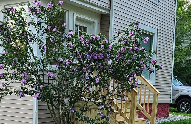 Charming in Albion, MI