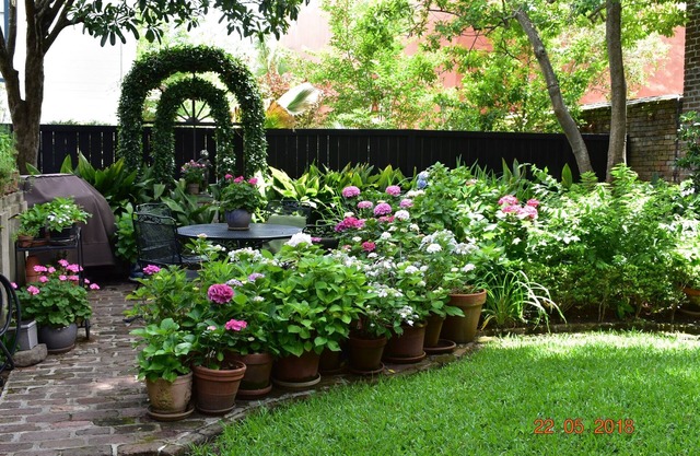 Charming Kitchen House with Beautiful Garden