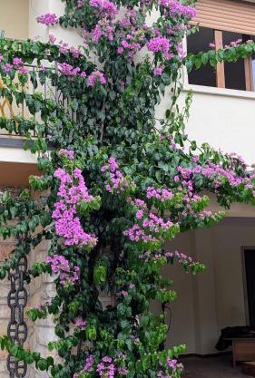 Charming Lake Garda Escape