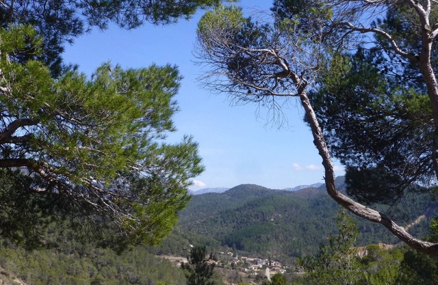 Charming little Provencal country house in a quiet location with private pool