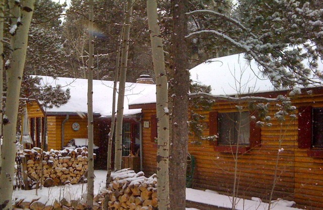 Charming log cabin for peaceful mountain getaway!