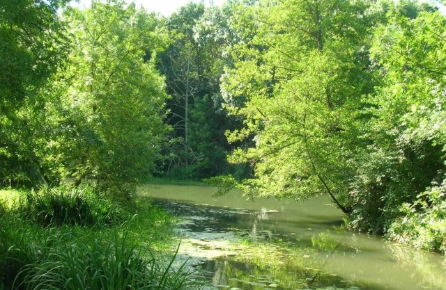 Charming Loire Valley Escape