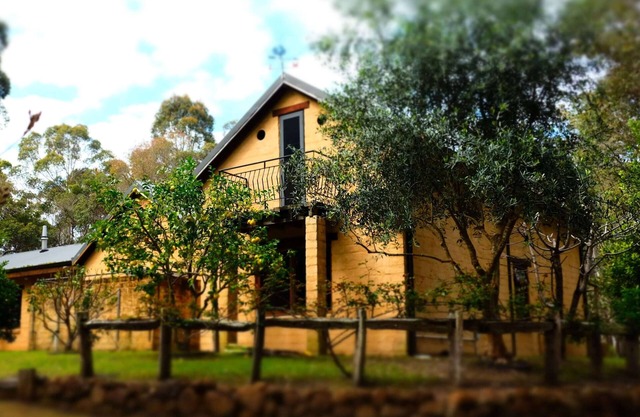 Charming Natural Haven Amongst the Trees
